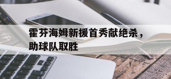 金年会体育-霍芬海姆新援首秀献绝杀，助球队取胜